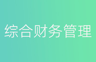 綜合財(cái)務(wù)管理